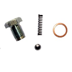 Śruba zatrzasku wałka skrzyni biegów MZ ETZ kpl